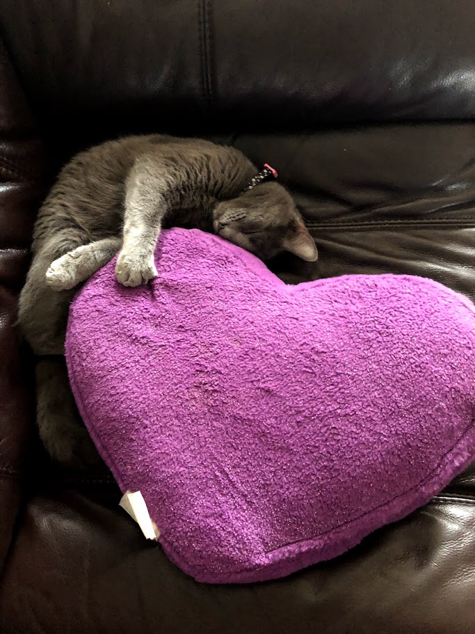 A photo of Whisper.