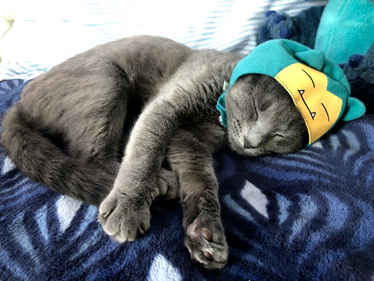 Another photo of whisper.
